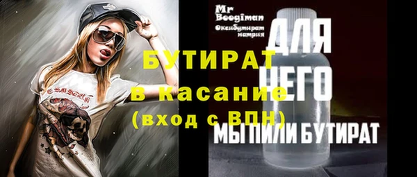 гидра Богородск