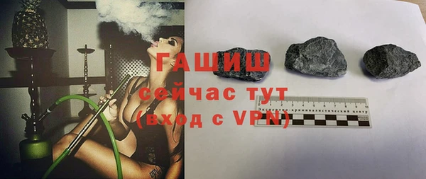 гидра Богородск