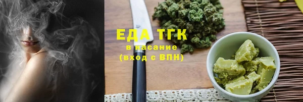 гидра Богородск
