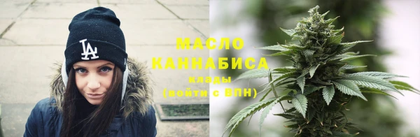 гидра Богородск