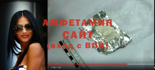 гидра Богородск