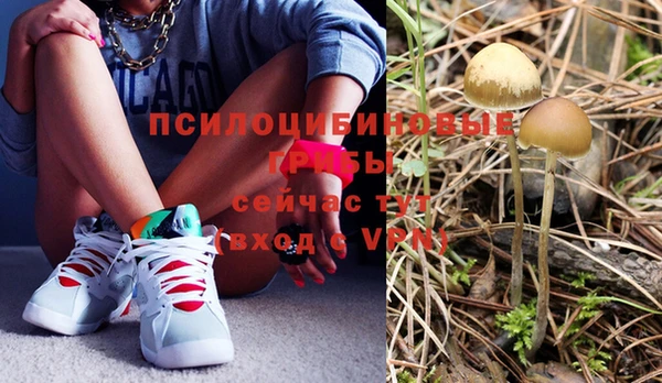 MDMA Богородицк