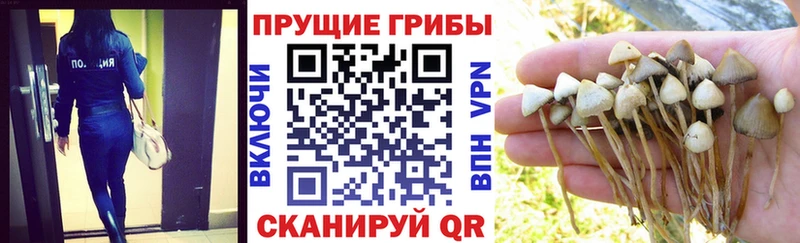ссылка на мегу ONION  Северодвинск  Галлюциногенные грибы мицелий 